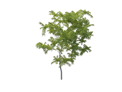 室外树木模型3d模型