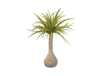 3d绿植花瓶模型