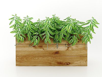现代风格植物模型3d模型