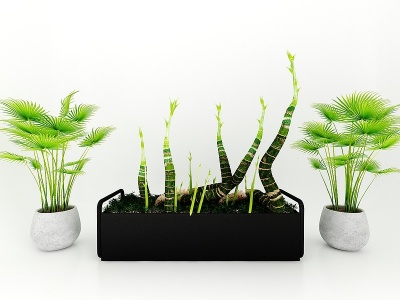 现代风格植物模型3d模型