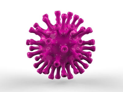 病毒3d模型