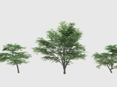 现代树木灌木树模型