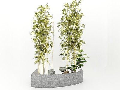 植物盆栽模型