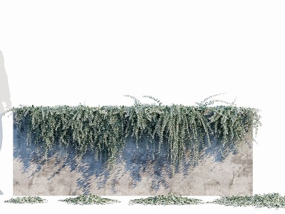 3d现代绿植縢蔓植物墙马蹄金模型