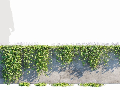 现代绿植縢蔓植物墙肾叶堇模型3d模型