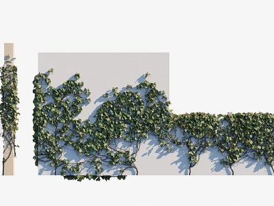 3d现代绿植縢蔓紫葛葡萄模型