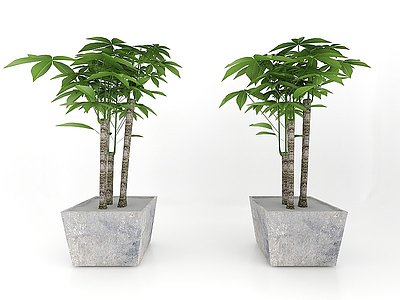 绿植盆栽模型