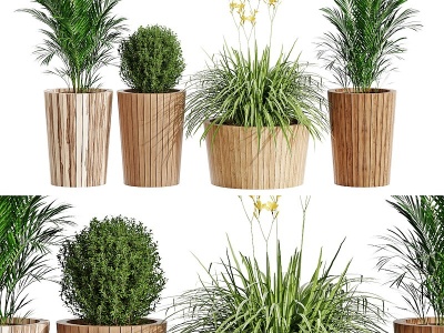 3d现代实木木桶植物盆栽模型