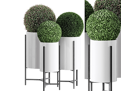 3d现代植物盆栽植物球模型