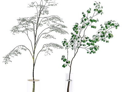 3d现代玻璃水生植物模型