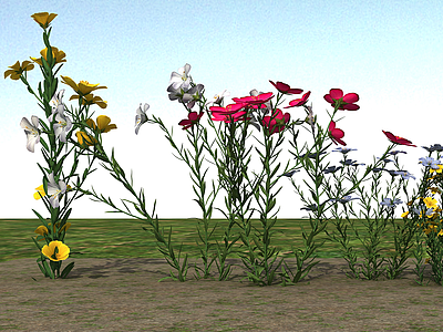 开花植物3d模型