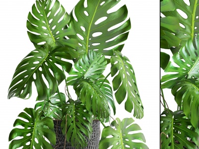 3d现代植物<font class='myIsRed'>盆栽</font>模型