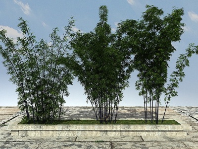 景观竹子植物模型3d模型