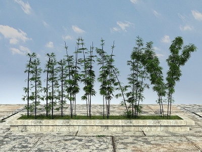 景观竹子植物3d模型