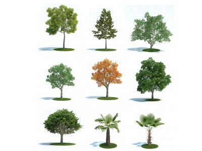 3d现代园林植物树合集模型