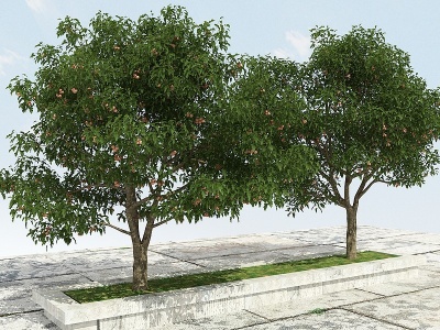3d山楂树有果模型