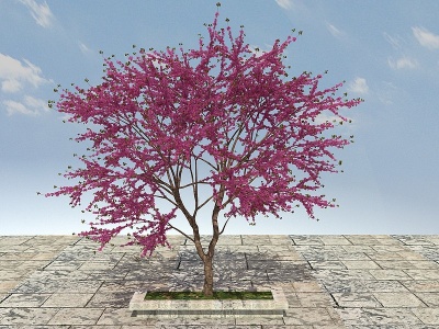 大树开花植物模型3d模型