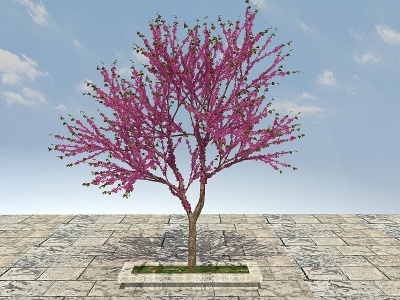 3d大树开花植物46模型
