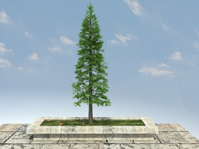 3d落叶杉景观植物模型