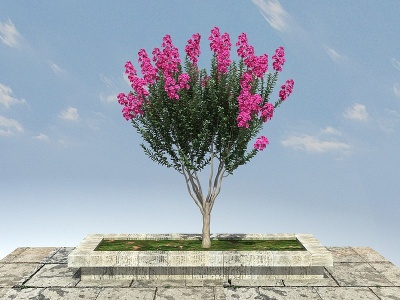 3d紫薇景观植物模型