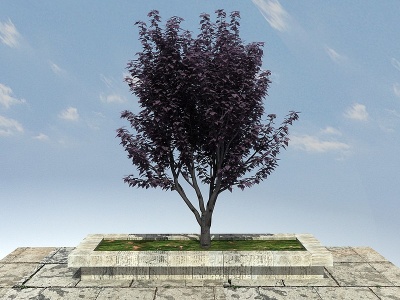 紫叶李景观植物模型