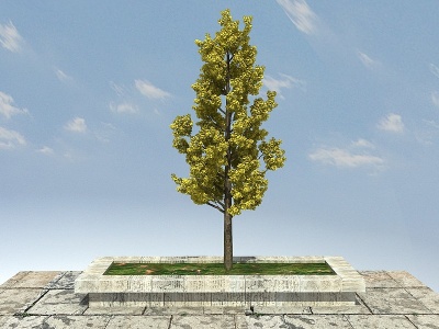 3d银杏大景观植物模型