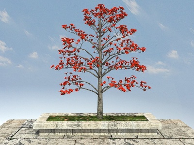 木棉景观植物模型