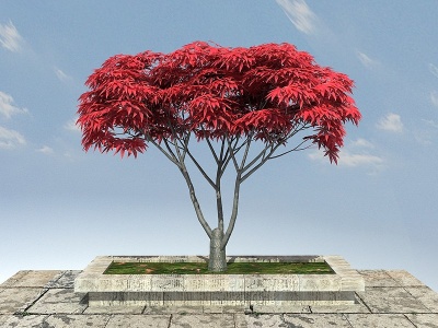 红枫景观植物模型3d模型