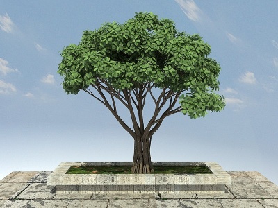 3d虎克榕景观植物模型