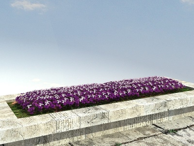 3d紫叶酢浆草酒店客房模型