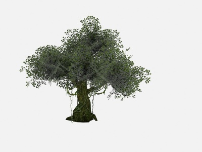 现代树木茂盛绿叶树模型3d模型