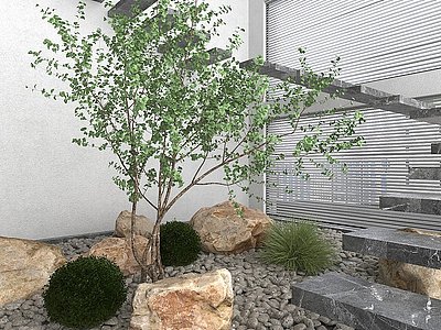 3d现代景观树木模型