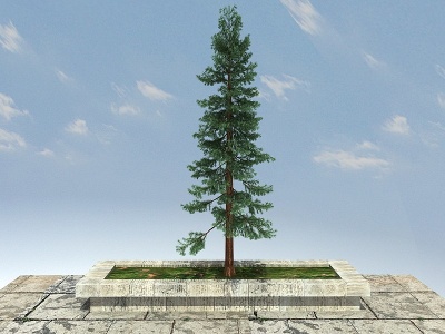 3d北美红杉模型