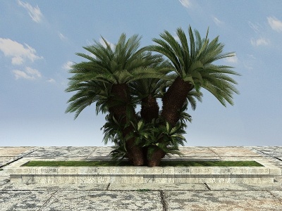 热带植物大铁树模型3d模型