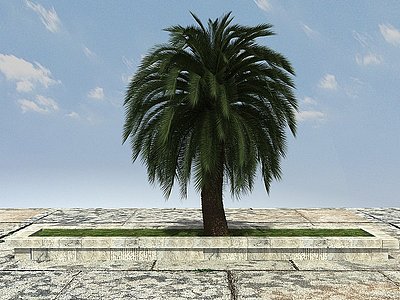 3d热带植物大铁树模型