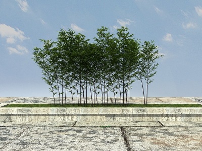 紫竹植物模型3d模型