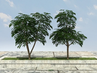 发财树模型