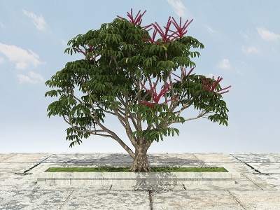 有形开花景观植物模型