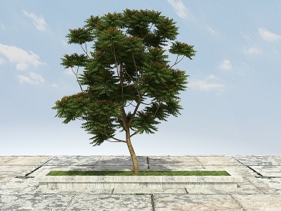 香春树（可食用）模型