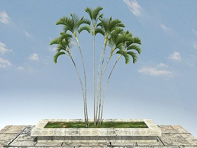 景观植物模型