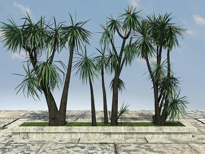 热带植物模型