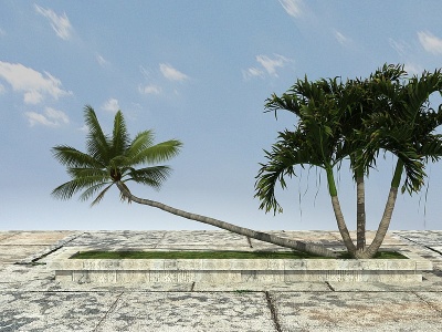 3d热带植物模型