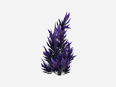 3d现代植物紫色花草模型