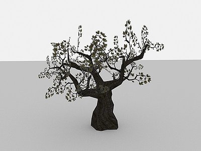 3d现代植物矮树树木模型