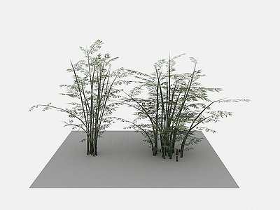 现代植物竹子成群模型
