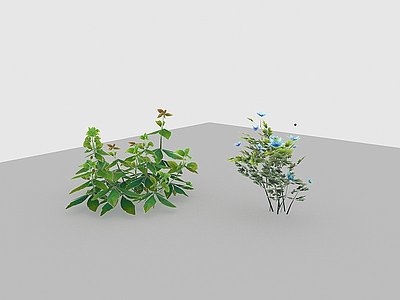 现代植物路边野花模型