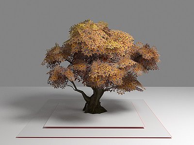 植物树木3d模型