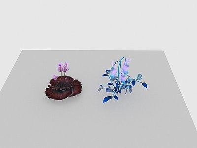 3d现代植物野花模型