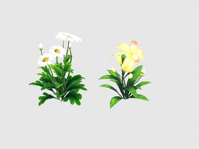 现代植物野花模型