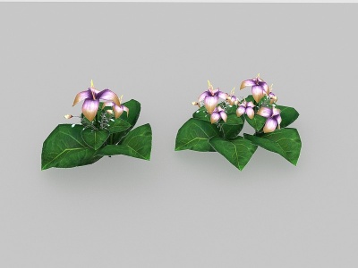 现代植物花草野花野草模型3d模型